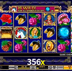 356x São Paulo - Live Tables